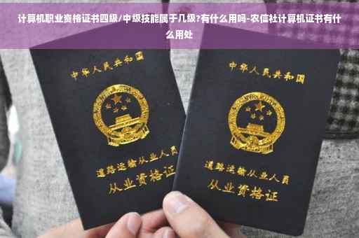计算机职业资格证书四级/中级技能属于几级?有什么用吗-农信社计算机证书有什么用处