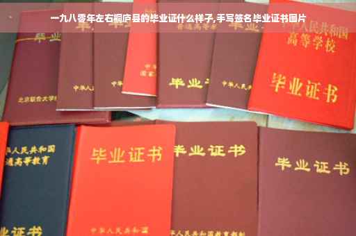 一九八零年左右桐庐县的毕业证什么样子,手写签名毕业证书图片
