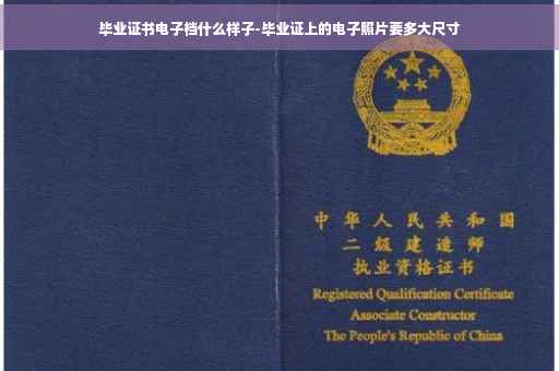 毕业证书电子档什么样子-毕业证上的电子照片要多大尺寸