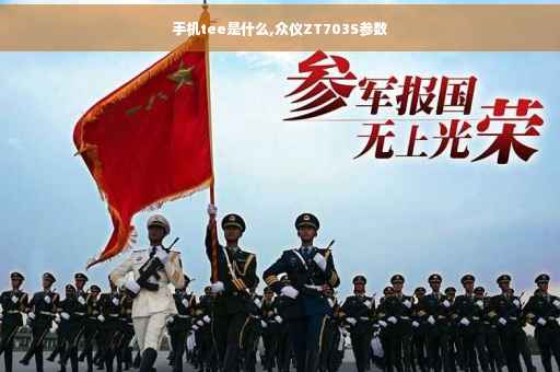 手机tee是什么,众仪ZT703S参数