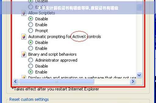 大学生计算机证书有哪些等级,康复证书有哪些