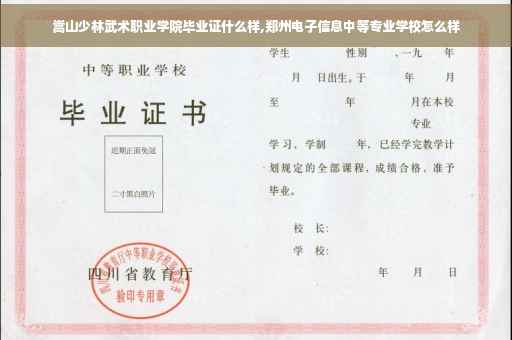 嵩山少林武术职业学院毕业证什么样,郑州电子信息中等专业学校怎么样