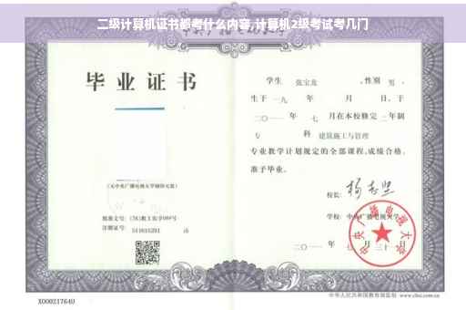 二级计算机证书都考什么内容,计算机2级考试考几门