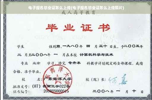 电子报名毕业证怎么上传(电子报名毕业证怎么上传照片)