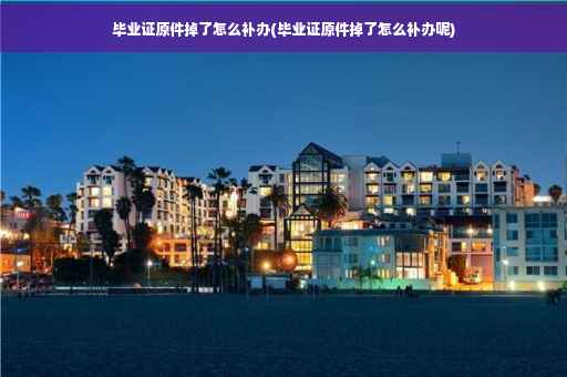 毕业证原件掉了怎么补办(毕业证原件掉了怎么补办呢)