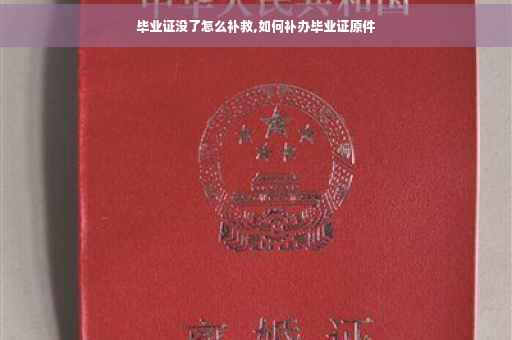 毕业证没了怎么补救,如何补办毕业证原件