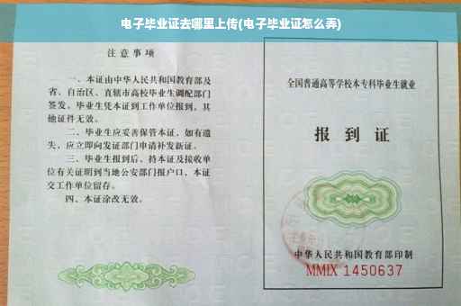 电子毕业证去哪里上传(电子毕业证怎么弄)