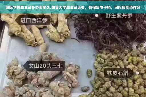 国际学校毕业证补办要多久,如果大学毕业证丢失，有保留电子档，可以复制原件吗