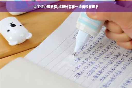 中工证办理流程,福建计算机一级有没有证书