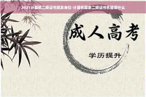 2021计算机二级证书颁发单位-计算机国家二级证书名称是什么