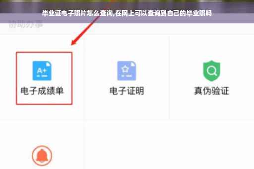 毕业证电子照片怎么查询,在网上可以查询到自己的毕业照吗