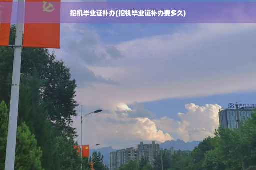 挖机毕业证补办(挖机毕业证补办要多久)