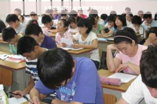 大学毕业证尺寸,毕业证电子照尺寸多大