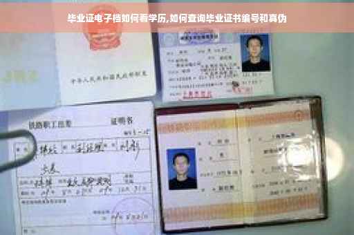 毕业证电子档如何看学历,如何查询毕业证书编号和真伪