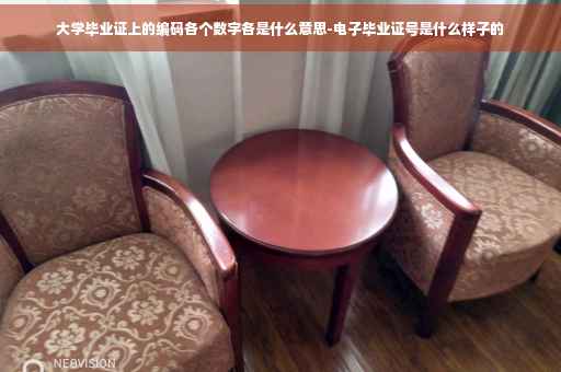 大学毕业证上的编码各个数字各是什么意思-电子毕业证号是什么样子的