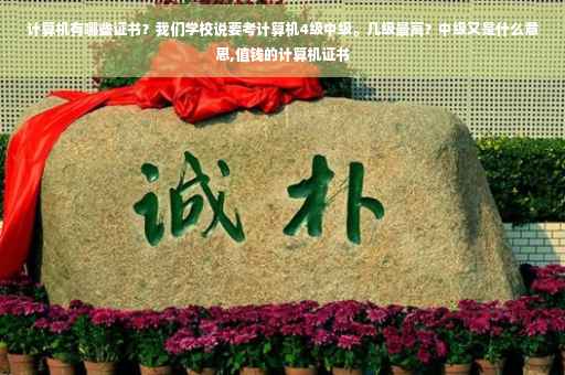 计算机有哪些证书？我们学校说要考计算机4级中级。几级最高？中级又是什么意思,值钱的计算机证书