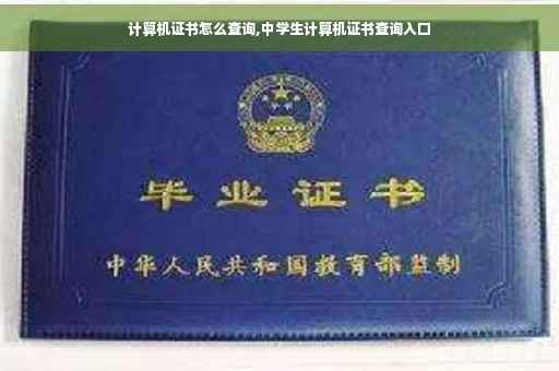 计算机证书怎么查询,中学生计算机证书查询入口