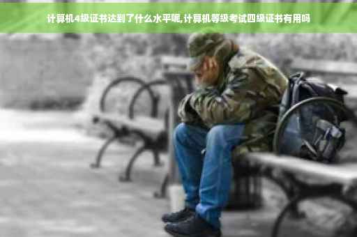 计算机4级证书达到了什么水平呢,计算机等级考试四级证书有用吗