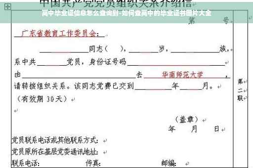 高中毕业证信息怎么查询到-如何查高中的毕业证书图片大全