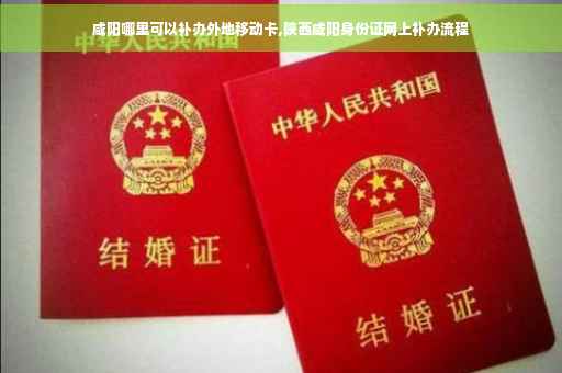 咸阳哪里可以补办外地移动卡,陕西咸阳身份证网上补办流程