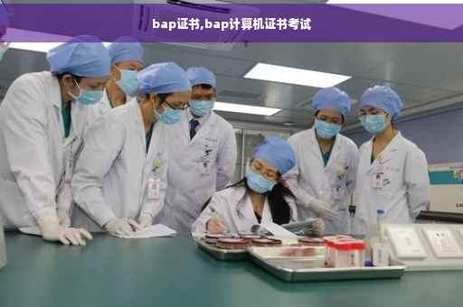 bap证书,bap计算机证书考试