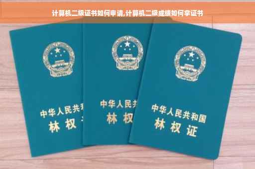 计算机二级证书如何申请,计算机二级成绩如何拿证书