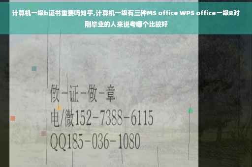 计算机一级b证书重要吗知乎,计算机一级有三种MS office WPS office一级B对刚毕业的人来说考哪个比较好