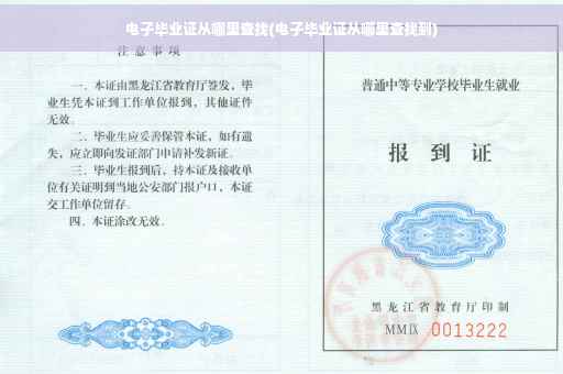 电子毕业证从哪里查找(电子毕业证从哪里查找到)