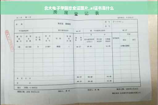 北大电子学院毕业证图片,ai证书是什么