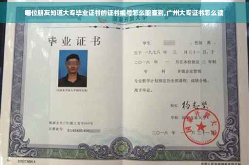 哪位朋友知道大专毕业证书的证书编号怎么能查到,广州大专证书怎么读
