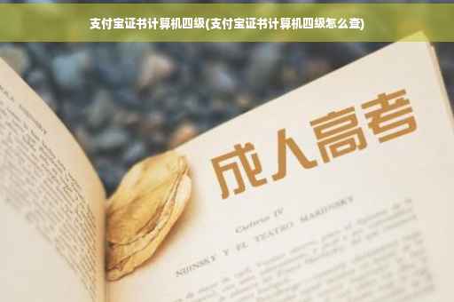 支付宝证书计算机四级(支付宝证书计算机四级怎么查)