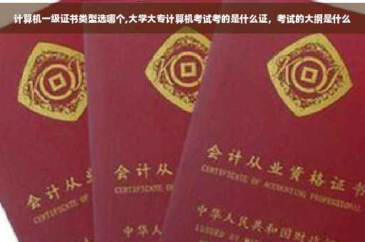 计算机一级证书类型选哪个,大学大专计算机考试考的是什么证，考试的大纲是什么