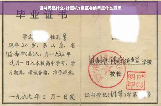 证书号是什么-计算机1级证书编号是什么意思