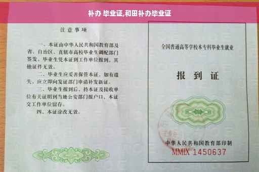 补办 毕业证,和田补办毕业证