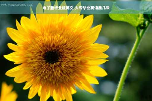 电子版毕业证英文,大专毕业英语要几级