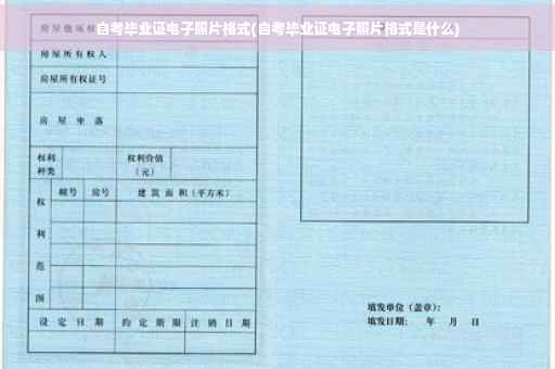 自考毕业证电子照片格式(自考毕业证电子照片格式是什么)