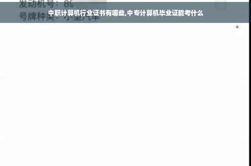 中职计算机行业证书有哪些,中专计算机毕业证能考什么