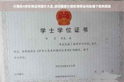计算机4级合格证书图片大全,求问国家计算机等级证书由哪个机构颁发