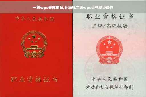 一级wps考试难吗,计算机二级wps证书发证单位