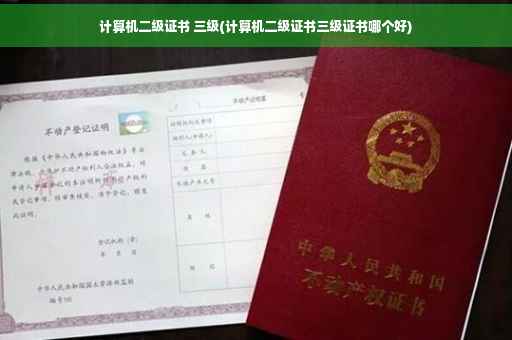 计算机二级证书 三级(计算机二级证书三级证书哪个好) 计算机二级证书 三级(计算机二级证书三级证书哪个好)