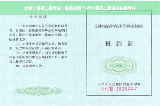 大学计算机二级考试一般是报哪个-考计算机二级证书在哪考的