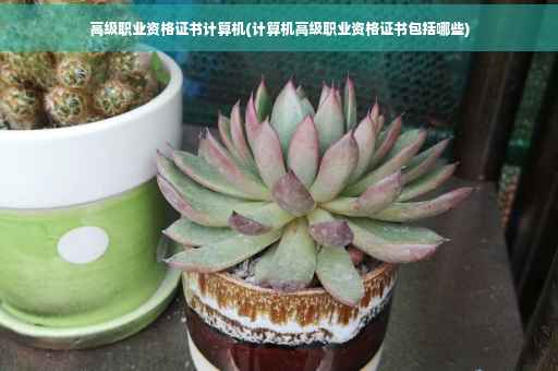 高级职业资格证书计算机(计算机高级职业资格证书包括哪些) 高级职业资格证书计算机(计算机高级职业资格证书包括哪些)