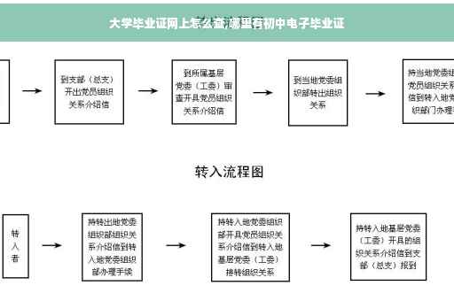 大学毕业证网上怎么查,哪里有初中电子毕业证