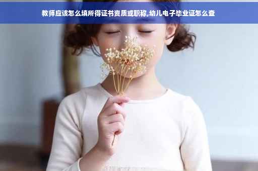 教师应该怎么填所得证书资质或职称,幼儿电子毕业证怎么查