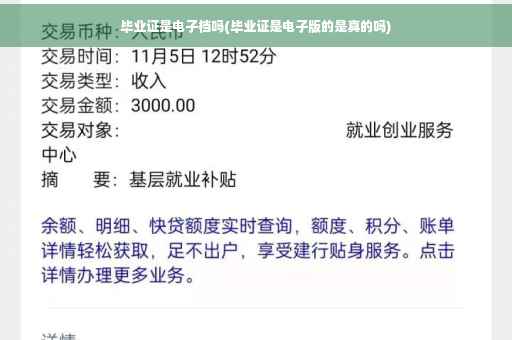毕业证是电子档吗(毕业证是电子版的是真的吗)