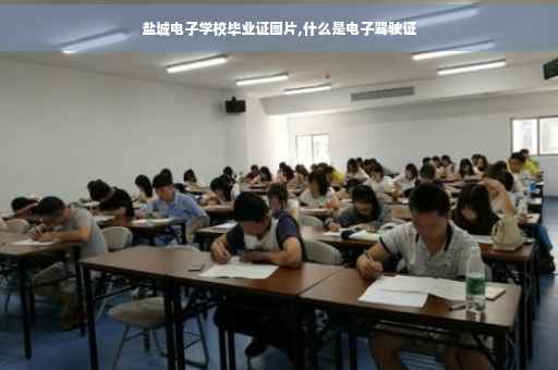 盐城电子学校毕业证图片,什么是电子驾驶证