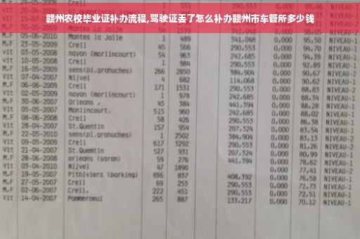 赣州农校毕业证补办流程,驾驶证丢了怎么补办赣州市车管所多少钱
