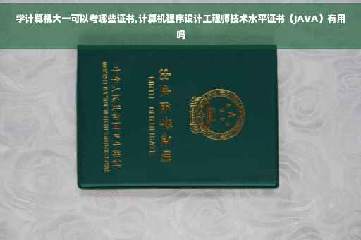 学计算机大一可以考哪些证书,计算机程序设计工程师技术水平证书（JAVA）有用吗