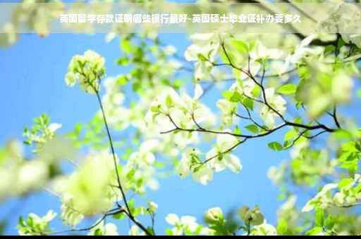 英国留学存款证明哪些银行最好-英国硕士毕业证补办要多久