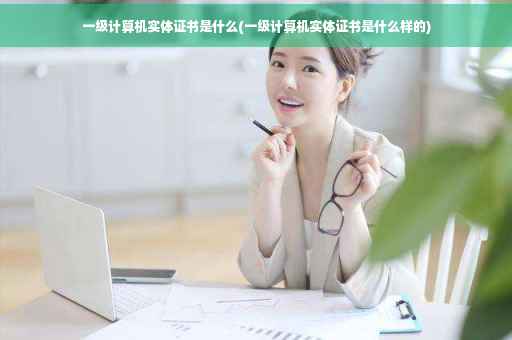一级计算机实体证书是什么(一级计算机实体证书是什么样的)